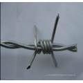 Hot Sale Galvanized Coated Double Stranded Barbed Wire